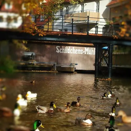Altstadtapartment An Der Kraemerbruecke Erfurt