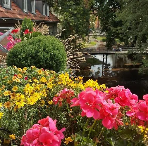 Altstadtapartment An Der Kraemerbruecke Erfurt